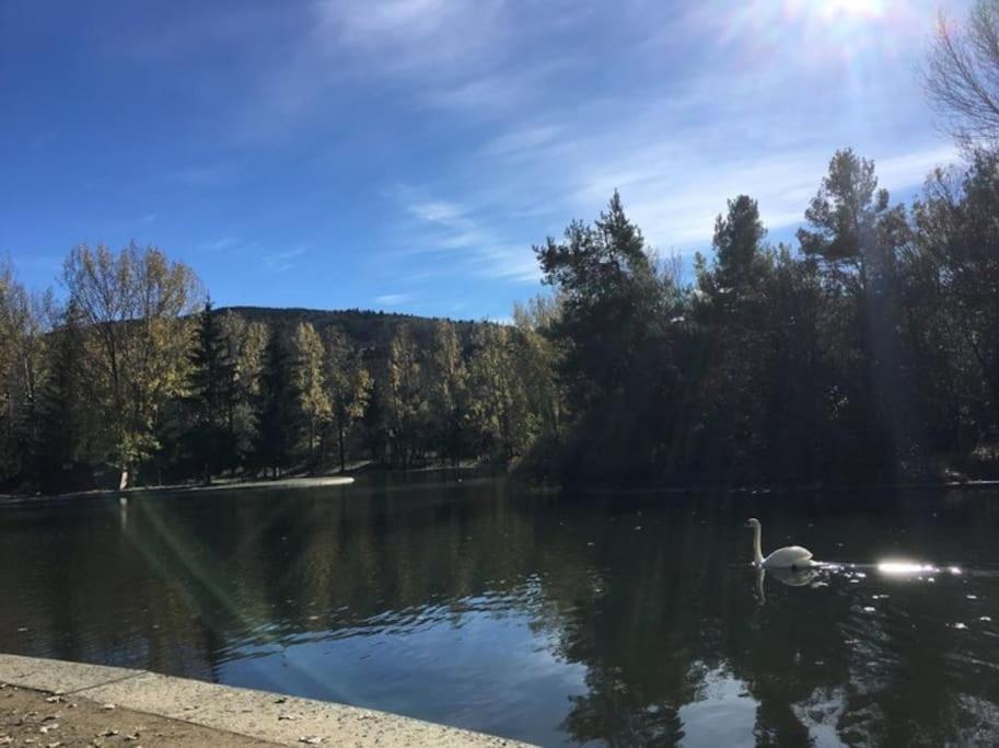 Ideal Parejas - Tranquilidad Y Naturaleza - Vistas Al Lago Osséja Екстериор снимка